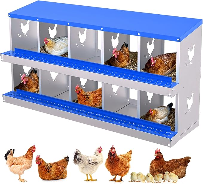 Nesting Boxes for Chickens, Chicken Coop Laying Boxes for Hens with Egg Rollaway System to Protect Eggs, 6/8/10-Hole Galvanized Steel Chicken Nesting Boxes Backyard Farm, Easy to Clean