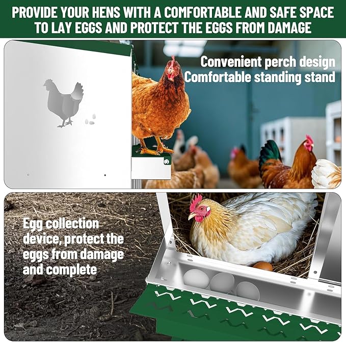 Chicken Nesting Box, Heavy-Duty Metal Chickens Laying Boxes with 10 Compartments, Large Vented Holes Hens Laying Box, Chicken Coop with Rollout Egg Collection, Bracket Legs - Green