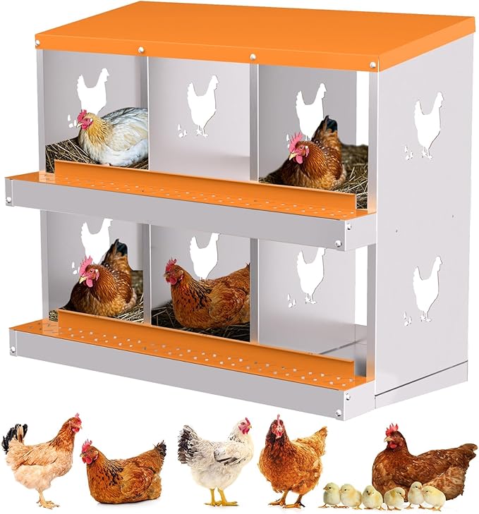 6-Compartment Chicken Nesting Box with Removable Tray - Metal Laying Boxes for Hens - Egg Rollaway Design, Wall Mount Farm Fresh Egg Collector, Hen Roosting Boxes for Chicken Coops