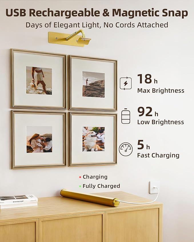EZVALO Picture Lights for Wall, Wireless Dimmable 3 Color Temps Art Lights for