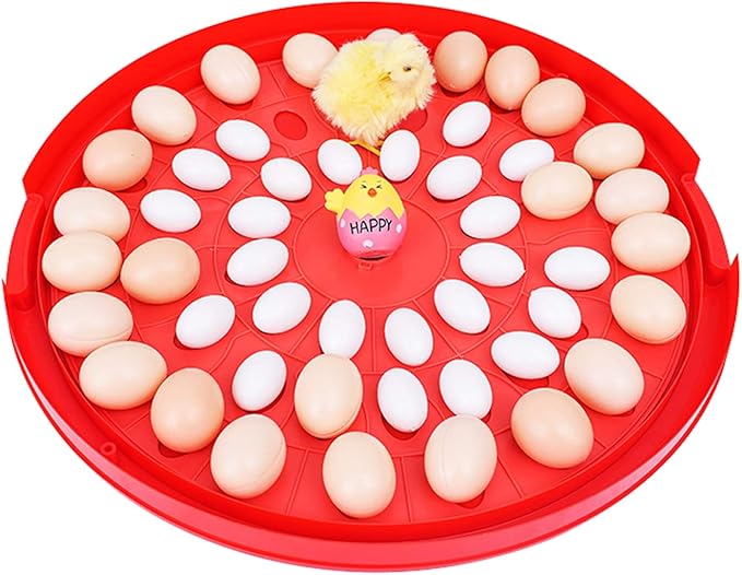 30 Egg Incubator Automatic Turning Digital Poultry Hatcher Brooder Temperature Control Hatching Chicken Duck Quails Bird Easy Observe
