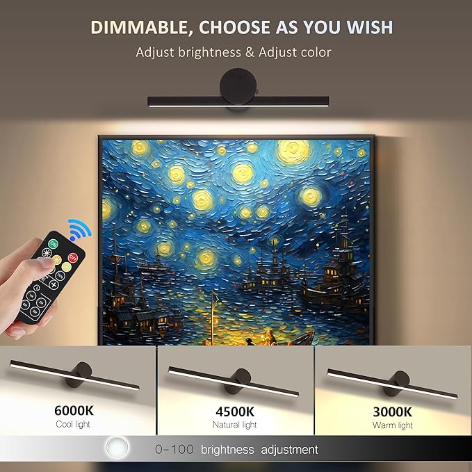 ZitoStory Battery Operated Picture Light