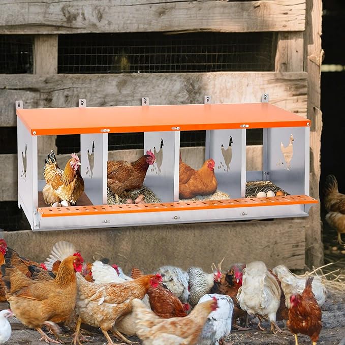 Chicken Nesting Boxes, 4 Rooms Hens Nest Box, Metal Poultry Nest Box Wall Mount for Chickens Egg Laying Box Collection Vented Holes Chicken Coop Cages Equipment, Orange (4 Rooms)