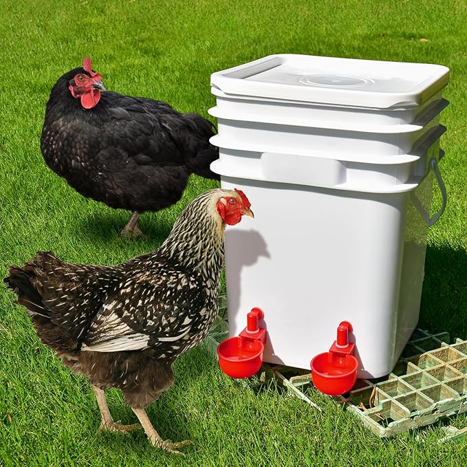 Chicken Waterer Cups | Automatic Large Chicken Water Feeder for Chicks, Turkey, Ducks, Goose, Bunny and Birds | Poultry Waterer - BPA Free & Leak Proof Design (4 Pack)
