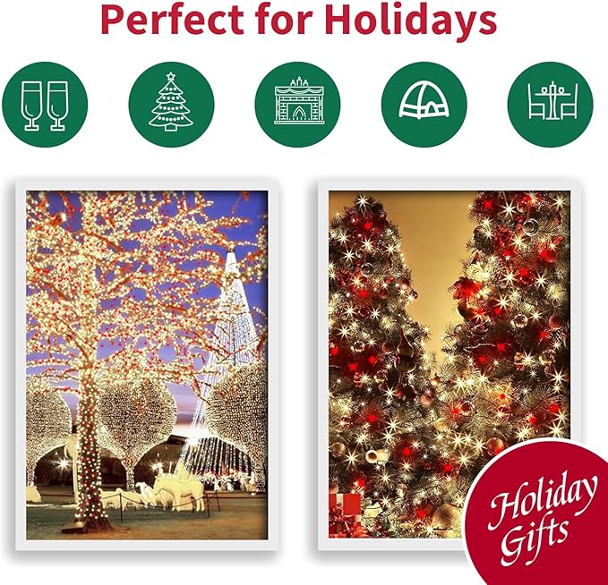 LAMPHOME 100 Count RED and Warm String Lights