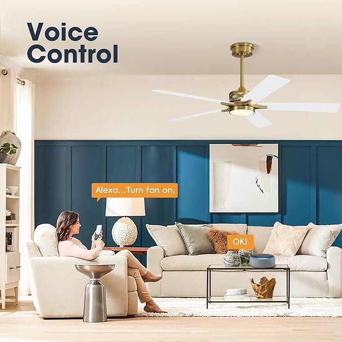 WINGBO 52" Smart Ceiling Fan