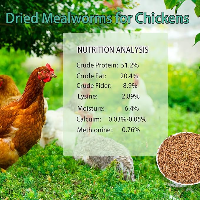 KAYHEN Dried Mealworms for Chickens 5LB Pure Natural Non-GMO High Protein Feed Meal Worms for Laying Hens Wild Birds