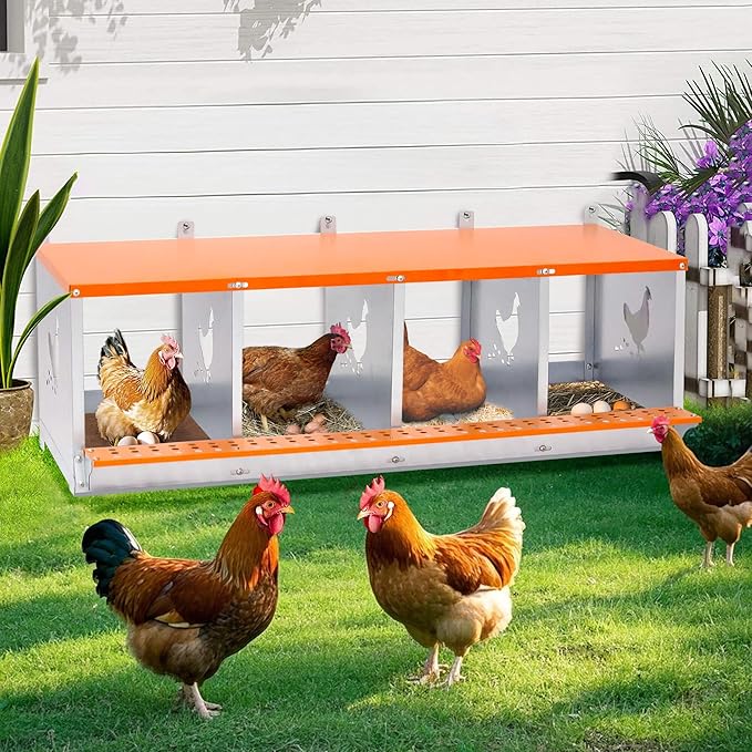Chicken Nesting Boxes, 4 Rooms Hens Nest Box, Metal Poultry Nest Box Wall Mount for Chickens Egg Laying Box Collection Vented Holes Chicken Coop Cages Equipment, Orange (4 Rooms)