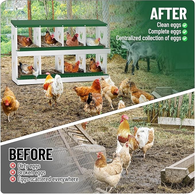 Metal Chicken Nesting Box, 8 Compartments, Rollout Egg Collection, Large Vented Holes, Perch Included, Wall Mount or Free Standing Laying Box for Hens and Chickens - Green