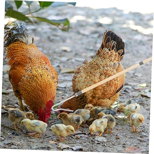 BESPORTBLE Chicken Catcher Hook Poultry Handling Tool for Chicken and Duck Capture Humane Design Versatile Use Farms and for Poultry Management