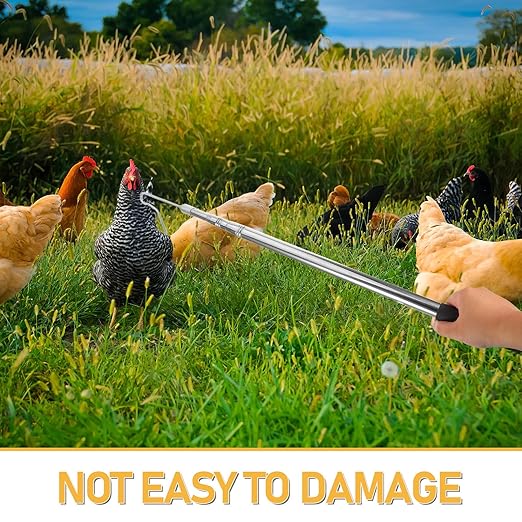 HEMOTON Chicken Grabber Capture Tool Retractable Poultry Leg Trap Hook Pole Farm Tools for Catching Turkey Geese Duck Fowl Bird