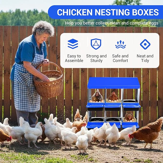 Chicken Nesting Box,Chicken Laying Boxes with 3 Compartment Metal Stainless Steel,Chickens Egg Laying Nest Boxes with Rollout Egg Collection,Chicken Brooder Box with Perch, Blue