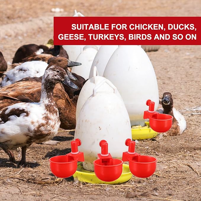 Patelai Chicken Water Cups, Chicken Waterer Cups Summer Water Feeder Cup 3/8 Inch Thread Automatic Filling Waterer Poultry Drinking Bowl for Duck Turkey Bunny(Red,12 Pieces)