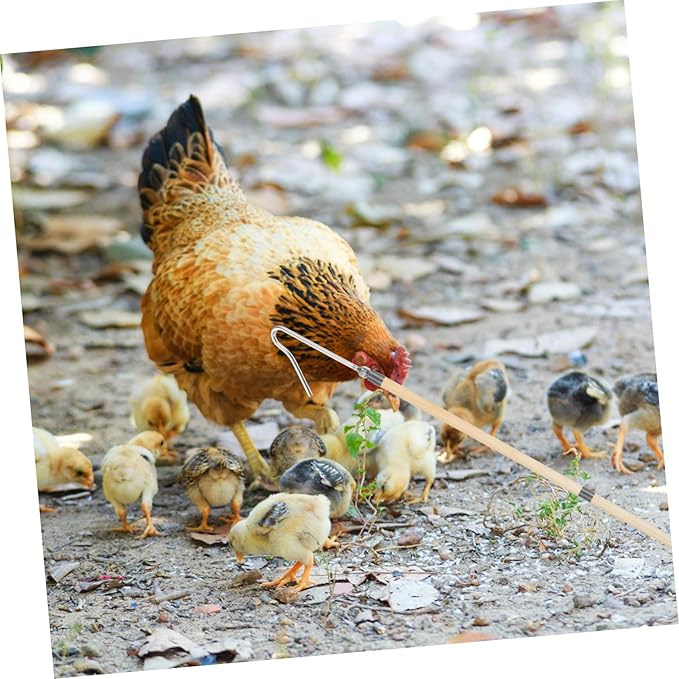 Toyvian Chicken Catcher Tool for Efficient Poultry Management and Easy Use Grabber for Catching Chickens and Geese Essential for Poultry Owners