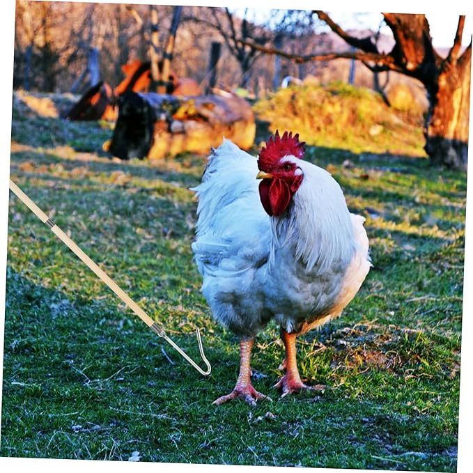 Toyvian Chicken Catcher Tool for Efficient Poultry Management and Easy Use Grabber for Catching Chickens and Geese Essential for Poultry Owners