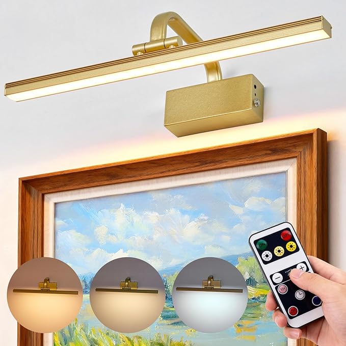 Picture Light, Picture Lights for Wall Cordless, Battery Wall Lights for