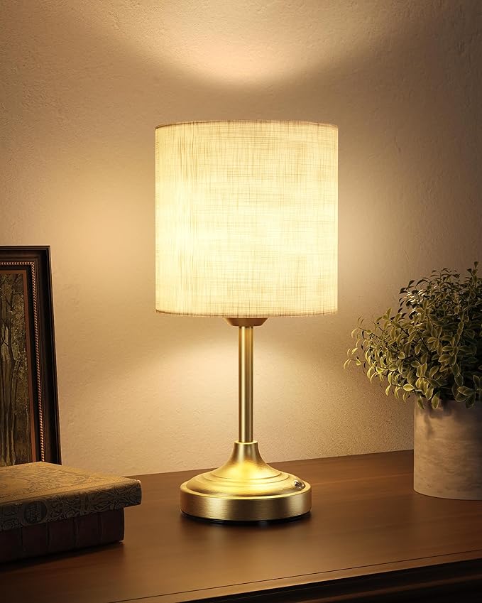 Battery Operated Lamp, Ambient Light, Touch Control, Rechargeable, Desk Lamp