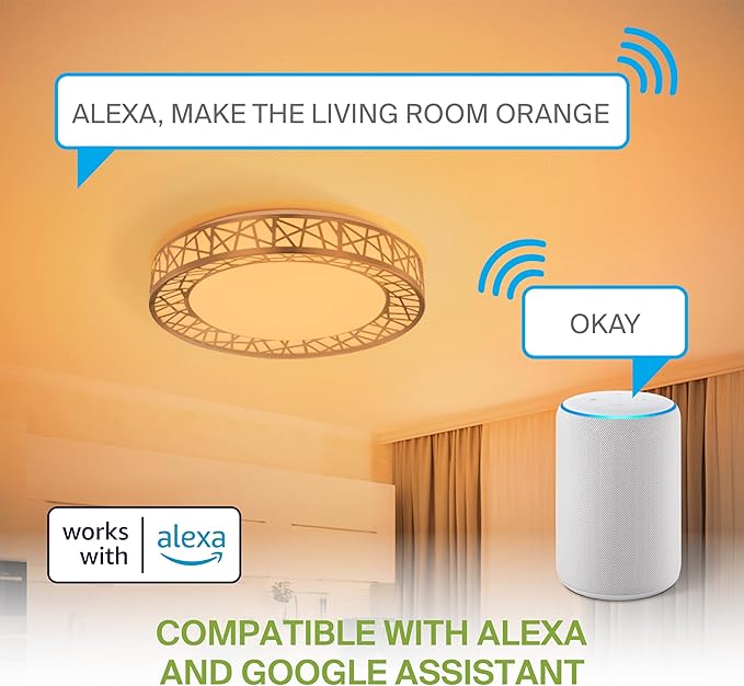 ASD 12 Inch Smart RGBW Flush Mount Ceiling Light