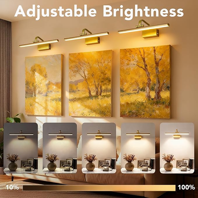 Picture Light, Picture Lights for Wall Cordless, Battery Wall Lights for