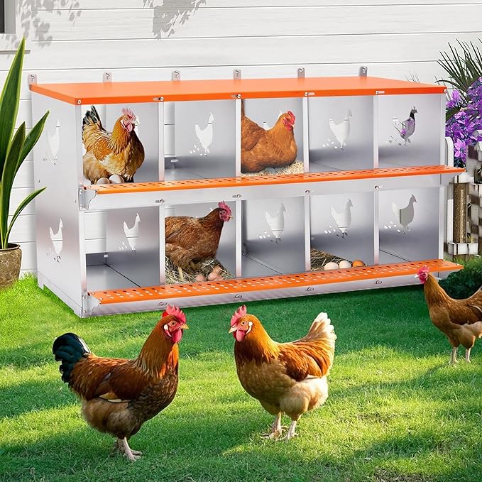 10-Bay Wall Mount Metal Nesting Box for Hens & Ducks - Galvanized Steel, Rust-Resistant, Easy Egg Collection, Tool-Free Assembly, Orange & Silver Coop Equipment with Coconut Fiber Pad
