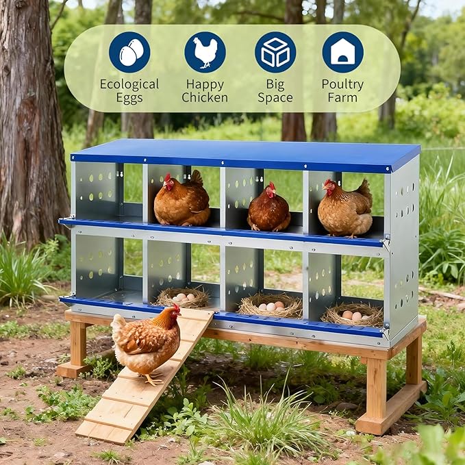 Heavy Duty Galvanized Steel Chicken Nesting Box – 8 Compartments, Wall Mounted/Floor, Ventilated, Resting Platform, Easy Clean, Rollaway Egg Collection, Blue, 128×48×71cm, Without Cover