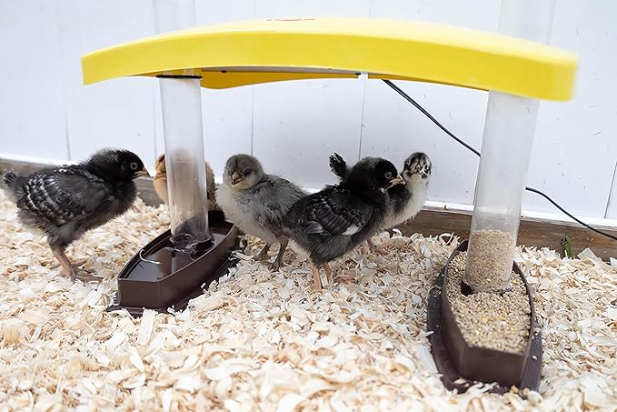 Cozy Chickens Chick Brooder Habitat 100 Watt Water & feeding Tubes