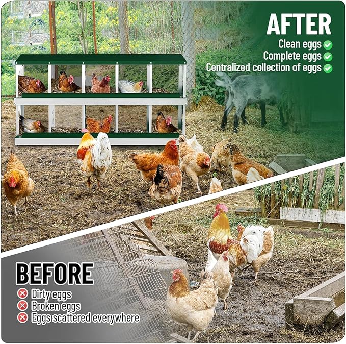 Chicken Nesting Box, Heavy-Duty Metal Chickens Laying Boxes with 10 Compartments, Large Vented Holes Hens Laying Box, Chicken Coop with Rollout Egg Collection, Wall Mount - Green