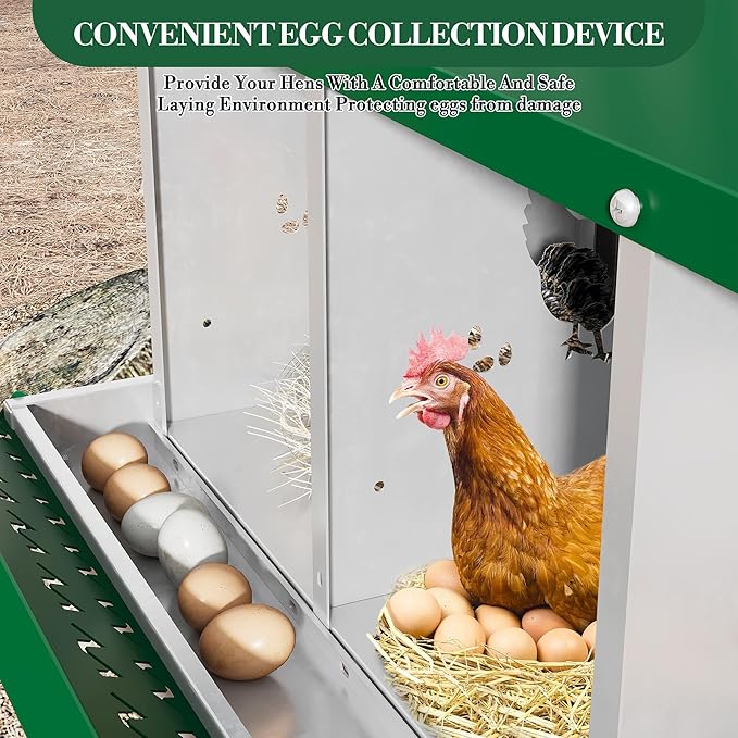 Chicken Nesting Boxes for Hens - 6&8&10 Compartments Roll Away Chicken Laying Boxes with Sturdy Metal Legs & Protective Lid Cover, Durable Galvanized Steel Construction, Easy Clean Design