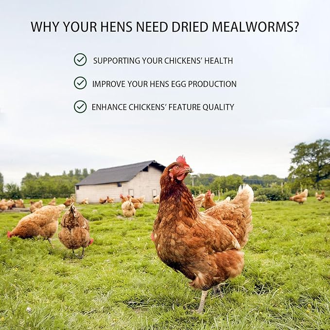 Dried Mealworms 20LB Pure Natural Non-GMO Mealworms for Chickens High Protein Chickens Feed Meal Worms for Laying Hens Wild Birds