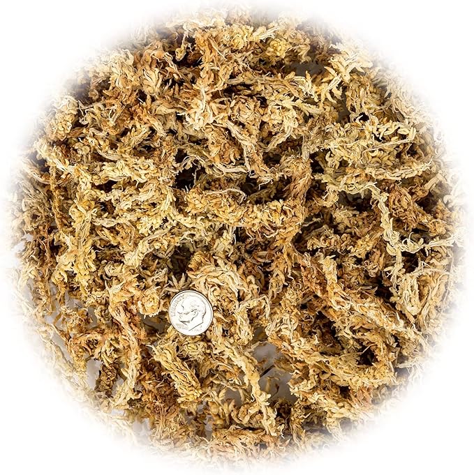 Premium New Zealand Sphagnum Moss by Gardenera - Organic Hand Mixed Long Fibered Sphagnum Moss Orchid - 1 Quart