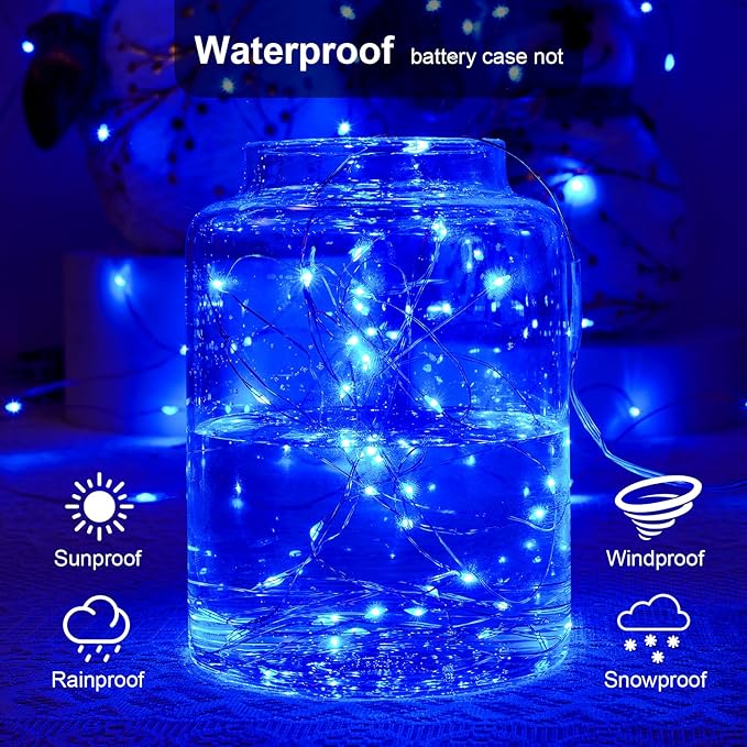 1 Pack 16.4ft Battery Operated String Lights