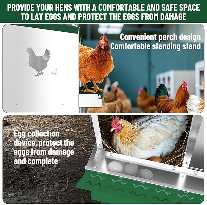 10-Compartment Metal Chicken Nesting Box - with Perch, Secure Lid & Metal Legs, Wall-Mount or Free-Standing Nesting Boxes for Hens