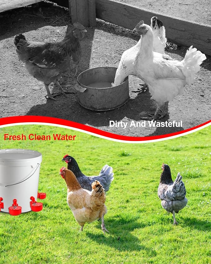 Professional Chicken Waterer Cups, 30 Packs Large Automatic Poultry Water Feeder with Tee Fittings - Leakproof Design for Ducks, Chickens, Geese, Turkeys, Birds - Includes Mounting Hole Opener Tool