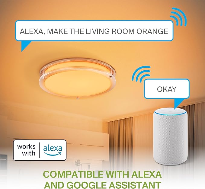 ASD LED 16" Round Flush Mount Lighting, Close to Ceiling Light Fixture | Smart