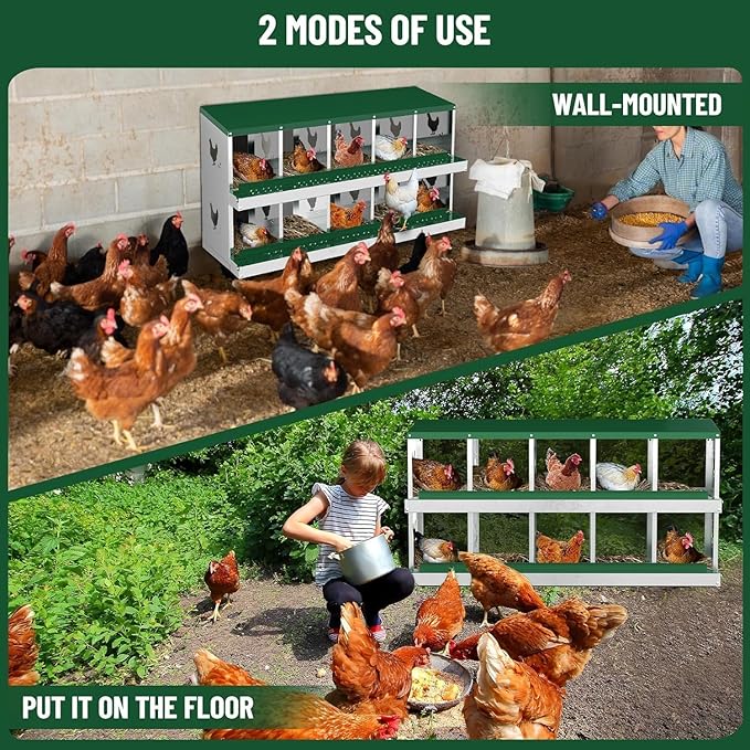 Chicken Nesting Box, Heavy-Duty Metal Chickens Laying Boxes with 10 Compartments, Large Vented Holes Hens Laying Box, Chicken Coop with Rollout Egg Collection, Wall Mount - Green