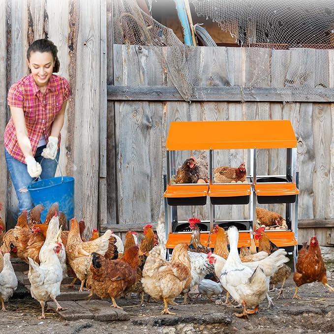 [6-Pack] Chicken Nest Box for Hens - Galvanized Steel Wall-Mounted or Freestanding Chicken Nest with Ventilation Holes - Poultry Nest Box with Legs for Egg Laying (Orange)