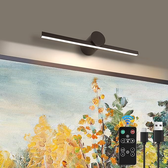 ZitoStory Battery Operated Picture Light
