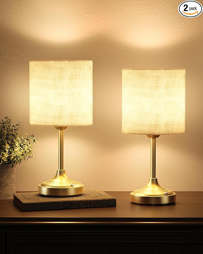 Wireless Lamp, Ambient Light, Touch Control, Rechargeable Table, Rechargeable