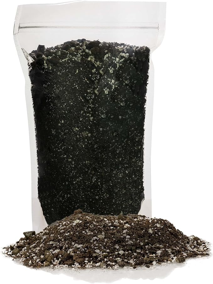 Gardenera African Violets and Gesneriad Premium Soil Mix - Horticultural Perlite (25%) + Vermiculite (25%) + Sphagnum Peat Moss (50%) - Made in USA - (2 Quart Bag)
