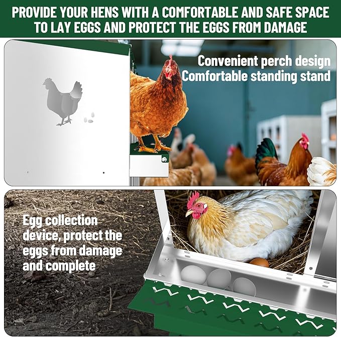 10-Compartment Metal Chicken Nesting Box - with Perch, Secure Lid & Metal Legs, Wall-Mount or Free-Standing Nesting Boxes for Hens
