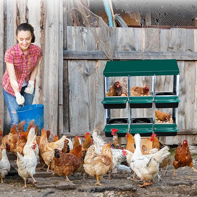 6 Compartment Metal Chicken Nesting Box – Roll Away Design with Lid, Easy Egg Collection, Wall Mount Hen Roosting Nest Box – Green (Without Bracket Legs, 6 Compartment Egg Laying Box)