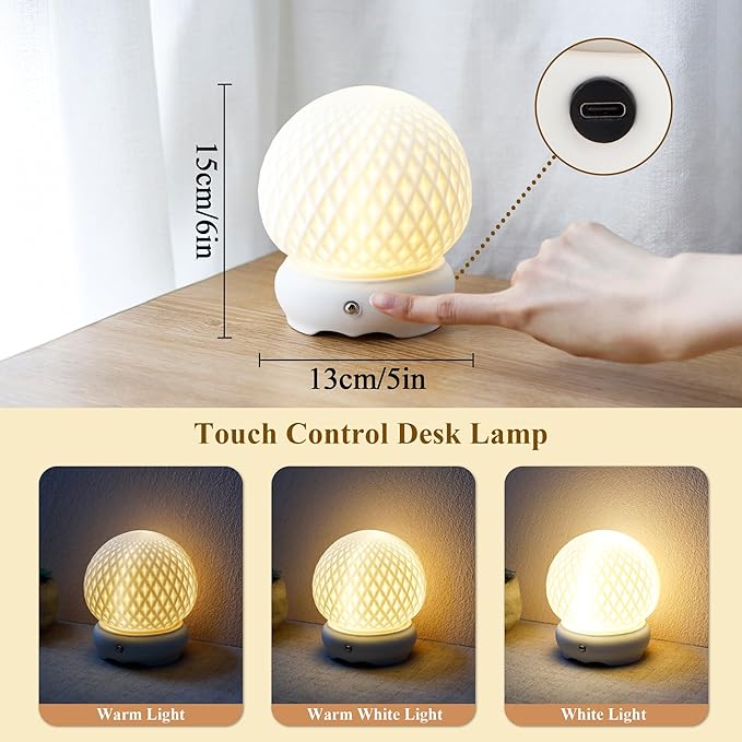 JHY DESIGN Ceramic Spherical Decorative lamp 6" H Rechargeable Table Lamp