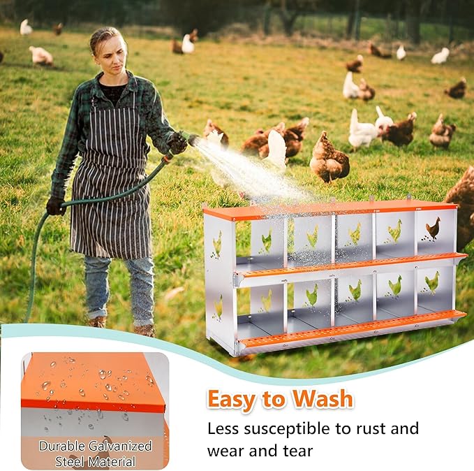 10-Bay Wall Mount Metal Nesting Box for Hens & Ducks - Galvanized Steel, Rust-Resistant, Easy Egg Collection, Tool-Free Assembly, Orange & Silver Coop Equipment with Coconut Fiber Pad