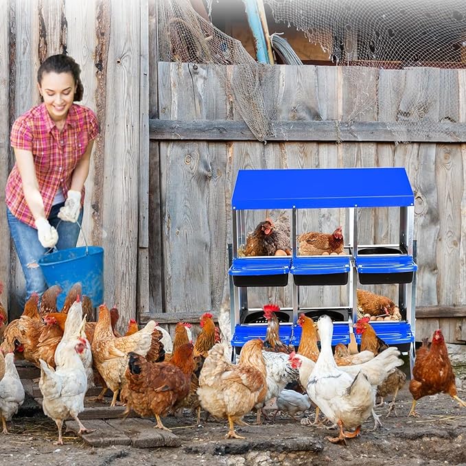 [6-Pack] Chicken Nest Box for Hens - Galvanized Steel Wall-Mounted or Freestanding Chicken Nest with Ventilation Holes - Poultry Nest Box with Legs for Egg Laying (Blue)