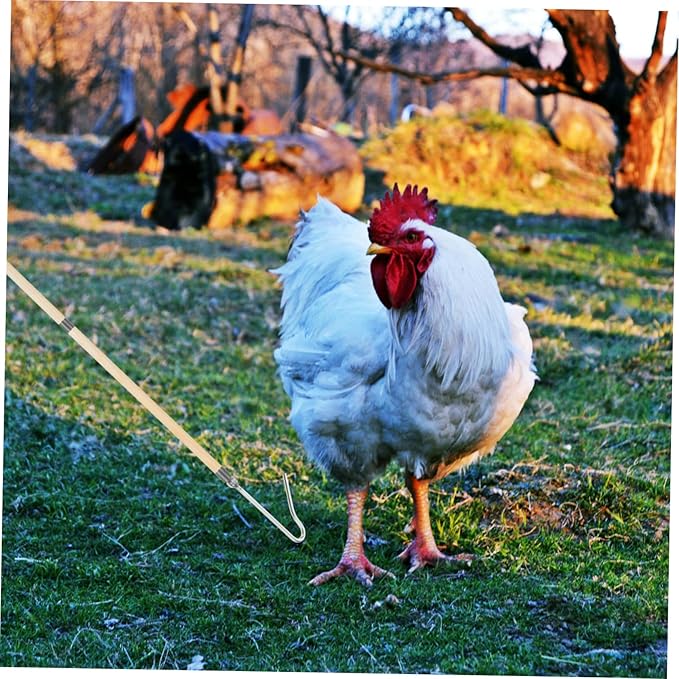 Heavy Duty Chicken Catcher Hook Tool for Poultry Handling Durable Construction for Efficient Farm Operations Versatile Chicken Catching for Poultry