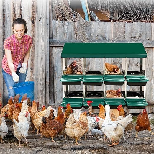 Garvee Chicken Nesting Boxes, 8 Hole Metal Chicken Laying Box with Removable Trays and Roll Out Egg Collection for Chicken Coop, Green