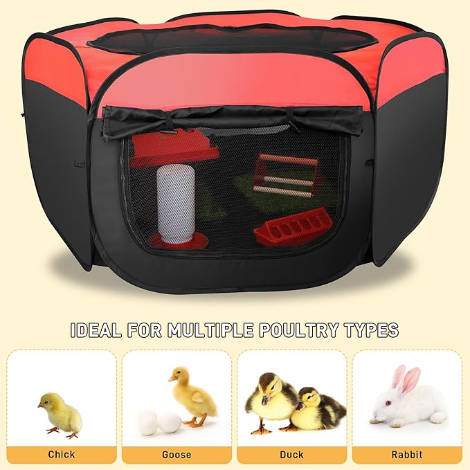 Upgrade Chick Starter Kit, 6-in-1 Chicken Brooder Box for Chicks Includes Pop-Up Chicken Playpen Tent,12 * 12" Heat Brooder Plate, Chicks Feeder, Waterer, Perch & Nesting Pad for Poultry Ducks Quail