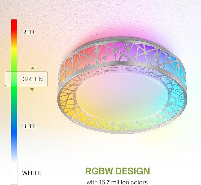 ASD 12 Inch Smart RGBW Flush Mount Ceiling Light