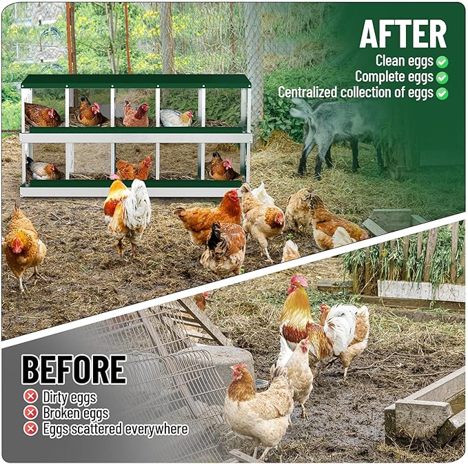 10-Compartment Metal Chicken Nesting Box - with Perch, Secure Lid & Metal Legs, Wall-Mount or Free-Standing Nesting Boxes for Hens