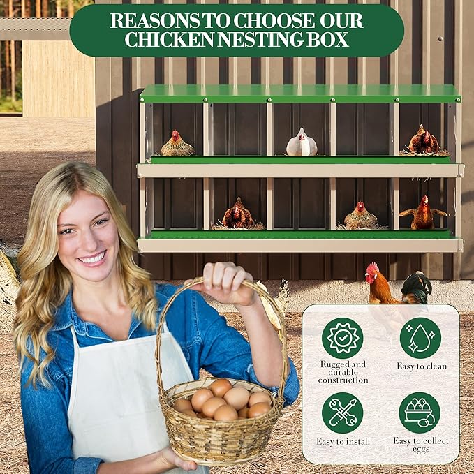 10 Holes Chicken Nesting Boxes, 2 Tiers 10 Compartments Metal Egg Laying Boxes, Wall Mount or Free Standing, Ventilated for Chickens, Hens, Ducks, Farm, Yard, Poultry Coop Accessories, Easy to Clean